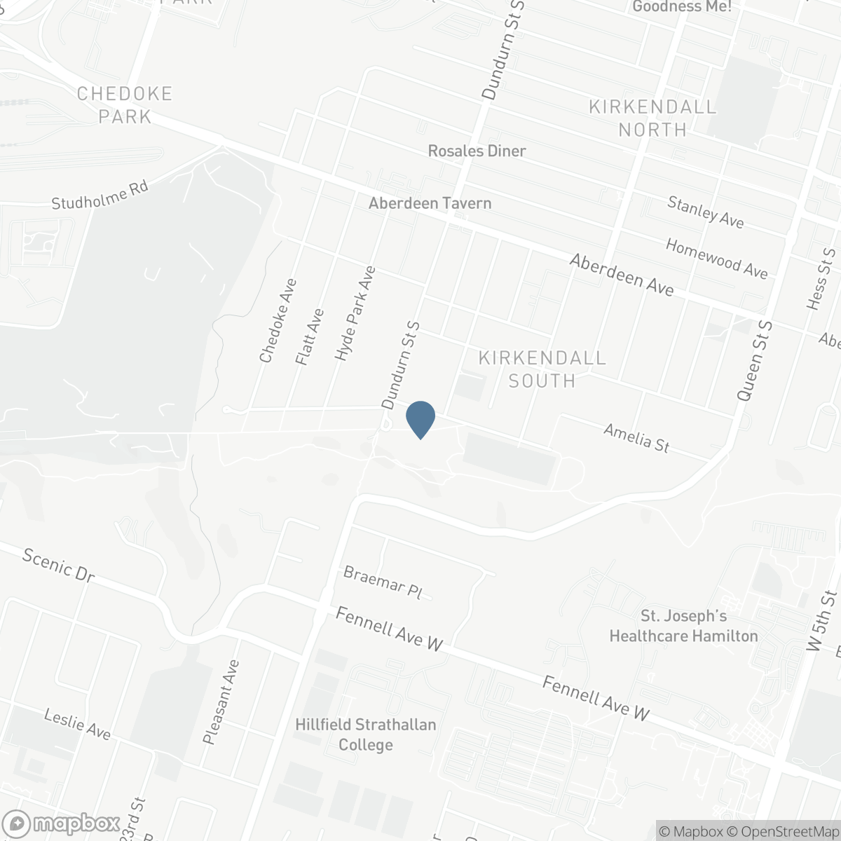 99 HILLCREST AVENUE, Hamilton, Ontario L8P 2X1